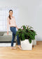 LECHUZA CUBE PREMIUM 50 - Plantenbak - met uitneembare binnenbak - met bewateringssysteem - ALL-IN-ONE set met LECHUZA-PON - wit hoogglans