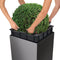 LECHUZA CUBE Premium 50 - Plantenbak - met uitneembare binnenbak - met bewateringssysteem - ALL-IN-ONE set met LECHUZA-PON - taupe hoogglans