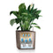 LECHUZA CUBE Premium 50 - Plantenbak - met uitneembare binnenbak - met bewateringssysteem - ALL-IN-ONE set met LECHUZA-PON - antraciet metallic
