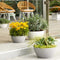 LECHUZA CUBETO Stone 30 - Plantenbak - met uitneembare binnenbak - met bewateringssysteem - ALL-IN-ONE set met LECHUZA-PON - zandbeige
