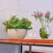 LECHUZA CUBETO Stone 30 - Plantenbak - met uitneembare binnenbak - met bewateringssysteem - ALL-IN-ONE set met LECHUZA-PON - grafietzwart