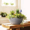 LECHUZA CUBETO Stone 30 - Plantenbak - met uitneembare binnenbak - met bewateringssysteem - ALL-IN-ONE set met LECHUZA-PON - grafietzwart