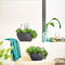 LECHUZA CUBETO Stone 30 - Plantenbak - met uitneembare binnenbak - met bewateringssysteem - ALL-IN-ONE set met LECHUZA-PON - zandbeige