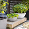 LECHUZA CUBETO Stone 40 - Plantenbak - met uitneembare binnenbak - met bewateringssysteem - ALL-IN-ONE set met LECHUZA-PON - zandbeige