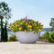 LECHUZA CUBETO Stone 40 - Plantenbak - met uitneembare binnenbak - met bewateringssysteem - ALL-IN-ONE set met LECHUZA-PON - kwarts wit