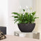 LECHUZA CUBETO Stone 40 - Plantenbak - met uitneembare binnenbak - met bewateringssysteem - ALL-IN-ONE set met LECHUZA-PON - grafietzwart