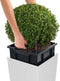 LECHUZA CUBICO ALTO PREMIUM 40 - Plantenbak - met uitneembare binnenbak - met bewateringssysteem - ALL-IN-ONE set met LECHUZA-PON - wit hoogglans