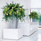 LECHUZA CUBICO ALTO PREMIUM 40 - Plantenbak - met uitneembare binnenbak - met bewateringssysteem - ALL-IN-ONE set met LECHUZA-PON - Antraciet metallic