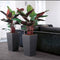 LECHUZA CUBICO ALTO PREMIUM 40 - Plantenbak - met uitneembare binnenbak - met bewateringssysteem - ALL-IN-ONE set met LECHUZA-PON - Antraciet metallic