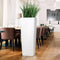 LECHUZA CUBICO ALTO PREMIUM 40 - Plantenbak - met uitneembare binnenbak - met bewateringssysteem - ALL-IN-ONE set met LECHUZA-PON - taupe hoogglans
