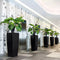 LECHUZA CUBICO ALTO PREMIUM 40 - Plantenbak - met uitneembare binnenbak - met bewateringssysteem - ALL-IN-ONE set met LECHUZA-PON - Antraciet metallic