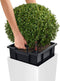 LECHUZA CUBICO Color 22 - Plantenbak - met uitneembare binnenbak - met bewateringssysteem - ALL-IN-ONE set met LECHUZA-PON - wit