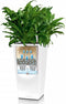 LECHUZA CUBICO Color 22 - Plantenbak - met uitneembare binnenbak - met bewateringssysteem - ALL-IN-ONE set met LECHUZA-PON - wit