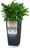LECHUZA CUBICO Color 22 - Plantenbak - met uitneembare binnenbak - met bewateringssysteem - ALL-IN-ONE set met LECHUZA-PON - leisteengrijs