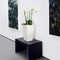 LECHUZA CUBICO Color 22 - Plantenbak - met uitneembare binnenbak - met bewateringssysteem - ALL-IN-ONE set met LECHUZA-PON - zandbruin