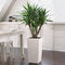 LECHUZA CUBICO Color 30 - Plantenbak - met uitneembare binnenbak - met bewateringssysteem - ALL-IN-ONE set met LECHUZA-PON - leisteengrijs