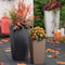 LECHUZA CUBICO Color 40 - Plantenbak - met uitneembare binnenbak - met bewateringssysteem - ALL-IN-ONE set met LECHUZA-PON - zandbruin