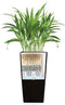 LECHUZA CUBICO Color 40 - Plantenbak - met uitneembare binnenbak - met bewateringssysteem - ALL-IN-ONE set met LECHUZA-PON - leisteengrijs
