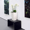 LECHUZA CUBICO Color 40 - Plantenbak - met uitneembare binnenbak - met bewateringssysteem - ALL-IN-ONE set met LECHUZA-PON - wit