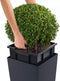 LECHUZA CUBICO Color 40 - Plantenbak - met uitneembare binnenbak - met bewateringssysteem - ALL-IN-ONE set met LECHUZA-PON - zandbruin