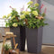 LECHUZA CUBICO Color 40 - Plantenbak - met uitneembare binnenbak - met bewateringssysteem - ALL-IN-ONE set met LECHUZA-PON - zandbruin