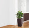 LECHUZA CUBICO Cottage 30 - Plantenbak - met uitneembare binnenbak - met bewateringssysteem - ALL-IN-ONE set met LECHUZA-PON - wit