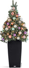 LECHUZA CUBICO Cottage 30 - Plantenbak - met uitneembare binnenbak - met bewateringssysteem - ALL-IN-ONE set met LECHUZA-PON - graniet