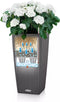 LECHUZA Cubico Cottage 30 - Plantenbak - met uitneembare binnenbak - met bewateringssysteem - ALL-IN-ONE set met LECHUZA-PON - lichtgrijs