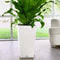 LECHUZA CUBICO Cottage 30 - Plantenbak - met uitneembare binnenbak - met bewateringssysteem - ALL-IN-ONE set met LECHUZA-PON - wit