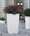 LECHUZA CUBICO Cottage 30 - Plantenbak - met uitneembare binnenbak - met bewateringssysteem - ALL-IN-ONE set met LECHUZA-PON - wit