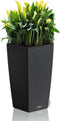 LECHUZA CUBICO Cottage 30 - Plantenbak - met uitneembare binnenbak - met bewateringssysteem - ALL-IN-ONE set met LECHUZA-PON - graniet