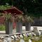 LECHUZA CUBICO Cottage 30 - Plantenbak - met uitneembare binnenbak - met bewateringssysteem - ALL-IN-ONE set met LECHUZA-PON - mokka