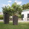 LECHUZA CUBICO Cottage 40 - Plantenbak - met uitneembare binnenbak - met bewateringssysteem - ALL-IN-ONE set met LECHUZA-PON - licht grijs
