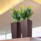 LECHUZA CUBICO PREMIUM 22 - Plantenbak - met uitneembare binnenbak - met bewateringssysteem - ALL-IN-ONE set met LECHUZA-PON - zwart hoogglans
