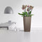 LECHUZA CUBICO PREMIUM 22 - Plantenbak - met uitneembare binnenbak - met bewateringssysteem - ALL-IN-ONE set met LECHUZA-PON - espresso metallic