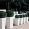 LECHUZA CUBICO PREMIUM 30 - Plantenbak - met uitneembare binnenbak - met bewateringssysteem - ALL-IN-ONE set met LECHUZA-PON - zwart hoogglans