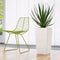 LECHUZA CUBICO PREMIUM 30 - Plantenbak - met uitneembare binnenbak - met bewateringssysteem - ALL-IN-ONE set met LECHUZA-PON - zwart hoogglans