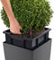 LECHUZA CUBICO PREMIUM 40 - Plantenbak - met uitneembare binnenbak - met bewateringssysteem - ALL-IN-ONE set met LECHUZA-PON - taupe hoogglans