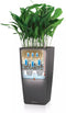 LECHUZA CUBICO PREMIUM 40 - Plantenbak - met uitneembare binnenbak - met bewateringssysteem - ALL-IN-ONE set met LECHUZA-PON - antraciet metallic