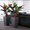LECHUZA CUBICO PREMIUM 40 - Plantenbak - met uitneembare binnenbak - met bewateringssysteem - ALL-IN-ONE set met LECHUZA-PON - scharlakenrood hoogglans