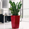 LECHUZA CUBICO PREMIUM 50 - Plantenbak - met uitneembare binnenbak - met bewateringssysteem - ALL-IN-ONE set met LECHUZA-PON - antraciet metallic
