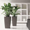 LECHUZA CUBICO PREMIUM 50 - Plantenbak - met uitneembare binnenbak - met bewateringssysteem - ALL-IN-ONE set met LECHUZA-PON - antraciet metallic