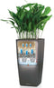 LECHUZA CUBICO PREMIUM 50 - Plantenbak - met uitneembare binnenbak - met bewateringssysteem - ALL-IN-ONE set met LECHUZA-PON - antraciet metallic