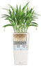 LECHUZA CUBICO PREMIUM 50 - Plantenbak - met uitneembare binnenbak - met bewateringssysteem - ALL-IN-ONE set met LECHUZA-PON - wit hoogglans