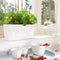 LECHUZA DELTA PREMIUM 10 - Plantenbak - met uitneembare binnenbak - met bewateringssysteem - ALL-IN-ONE set met LECHUZA-PON - wit hoogglans