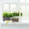 LECHUZA DELTA PREMIUM 20 - Plantenbak - met uitneembare binnenbak - met bewateringssysteem - ALL-IN-ONE set met LECHUZA-PON - hoogglans taupe