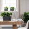 LECHUZA DELTA PREMIUM 20 - Plantenbak - met uitneembare binnenbak - met bewateringssysteem - ALL-IN-ONE set met LECHUZA-PON - scharlakenrood hoogglans