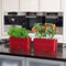 LECHUZA DELTA PREMIUM 20 - Plantenbak - met uitneembare binnenbak - met bewateringssysteem - ALL-IN-ONE set met LECHUZA-PON - scharlakenrood hoogglans