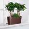 LECHUZA DELTA PREMIUM 20 - Plantenbak - met uitneembare binnenbak - met bewateringssysteem - ALL-IN-ONE set met LECHUZA-PON - hoogglans taupe
