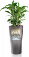 LECHUZA DELTA PREMIUM 30 Plantenbak - met uitneembare binnenbak - met bewateringssysteem - ALL-IN-ONE set met LECHUZA-PON - - antraciet metallic